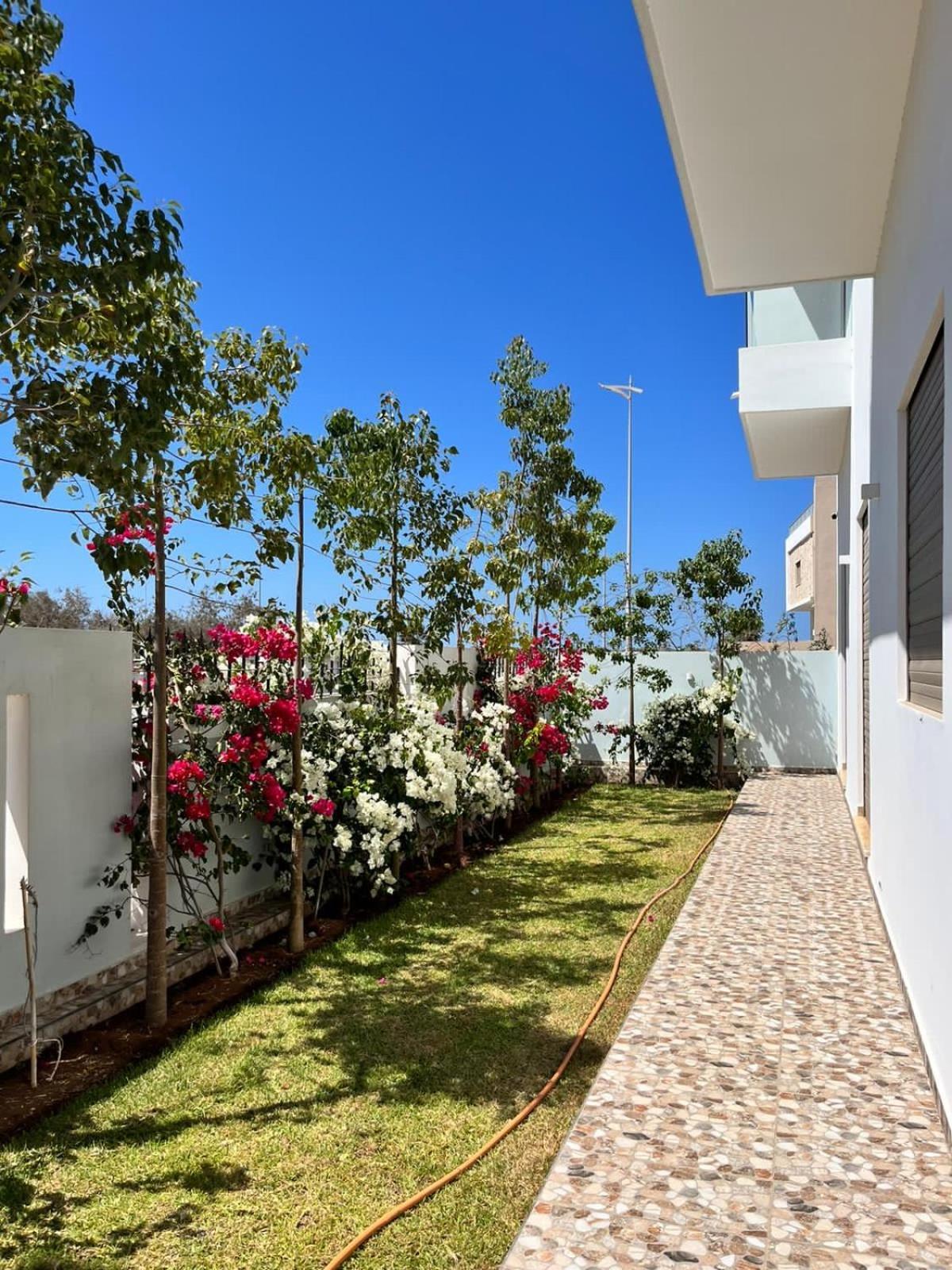 Villa Africa Εσαουίρα Εξωτερικό φωτογραφία
